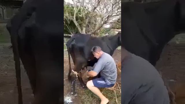 1000165374.mp4