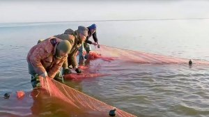 Большая рыба. Часть 2 | С Полем! 26.10.2020