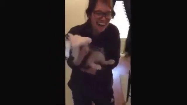 Щенок Хаски пытается выть смотреть онлайн