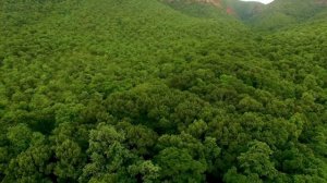 Аффирмации для спорта/Настрой на победу в спорте