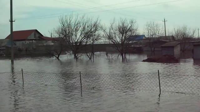 Паводок Елань