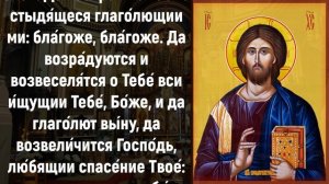 ПОСЛУШАЙ ТИХОНЬКО И ЭТИ СЛОВА ОТВЕДУТ ВСЕ БЕДЫ. Иисусова молитва. Молитва ко Господу нашему