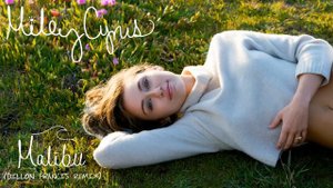 Miley Cyrus - Malibu (Dillon Francis Remix) (Audio)