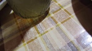 Грузинское Блюдо социви курица в соусе из грецкого ореха