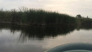 Пожалуй самый дешевый СПИННИНГ для ТВИЧИНГА - DAYO Hippo 7-28G | Обзор + РЫБАЛКА