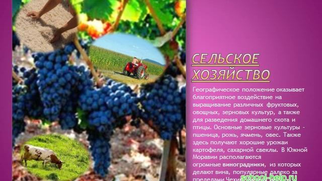 Презентация Чехия смотреть онлайн