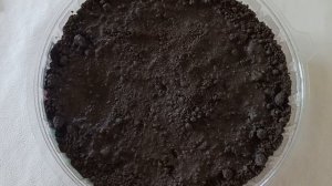 Как вырастить китайскую капусту Пак-Чой на подоконнике