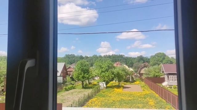 Сирень акварелью за три минуты?