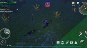 рейд базы player 5317