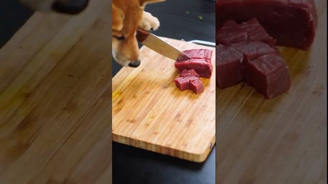 #short #Cat # Pet #Cute Chef Catie Puzzy Cooking Food | Милый кот готовит 2021