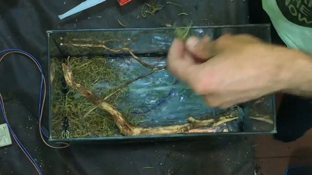 Превращаем старый аквариум в вивариум. Часть 1