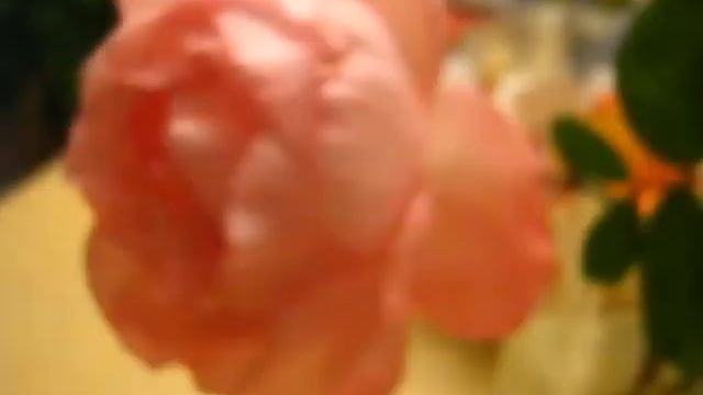 Canon PowerShot A430 смотреть онлайн