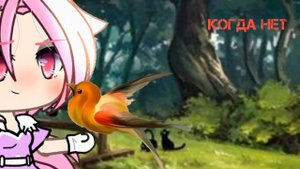 Минута|клип |гача лайф |Gacha life