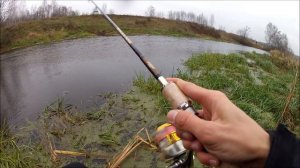 FishComm Shop: Kosadaka Gravity XS. Твичинг и пампинг.