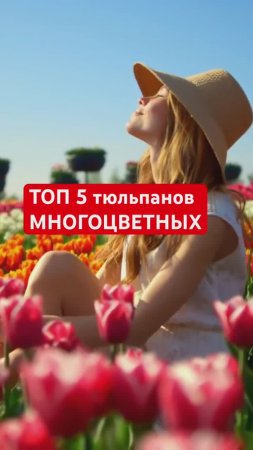 Самые оригинальные многоцветные ТЮЛЬПАНЫ