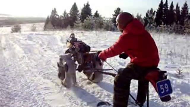 Пермская Муть 5 ! смотреть онлайн