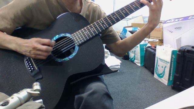 Scarborough Fair (RainSong JM3000)