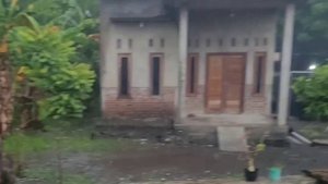 heavy rain walk in village || very relaxing and comfortable || asmr