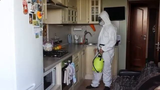 Дезинсекция_насекомых - Профессиональное_средство_от_тараканов