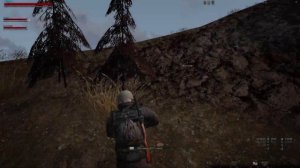 Stalker Online / Stay Out:  Торфяной паук