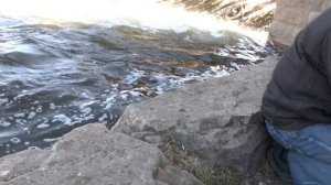 рыбалка река миасс около плотины 9 мая 2016!!!