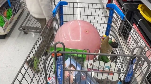 ИЗ ГЕРМАНИИ В КАНАДУ. ЗАПИСАЛИСЬ В ШКОЛУ. ПОЛУЧИЛИ КРЕДИТ НА МАШИНУ смотреть онлайн