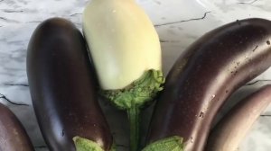 БАКЛАЖАНЫ -ЯД ДЛЯ ТЕБЯ !!!