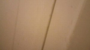 Электрические лифты. Когда изготовлен неизвестно! (г.Санкт-Петербург) пр. Просвещения 33/1 под 2