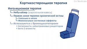 Противоастматические препараты кратко: кортикостероиды, стабилизаторы тучных клеток, омализумаб