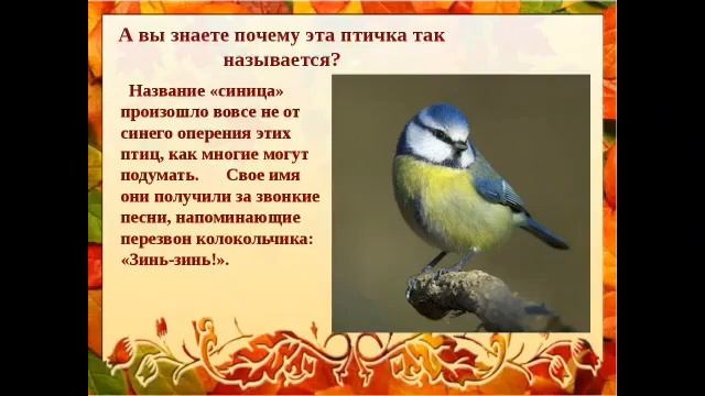 Синичкин день смотреть онлайн