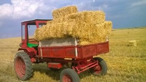 Т-16 Шассик | Трактор СССР | Богатырь из Харькова | ХТЗСШ