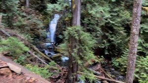 Hiking to Murhut Falls for Long Exposure Photography and Exercise in Brinnon Washington.