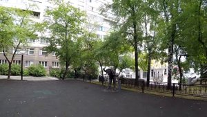 Куда сходить в Нижнем Тагиле. Прогулка с подписчиками