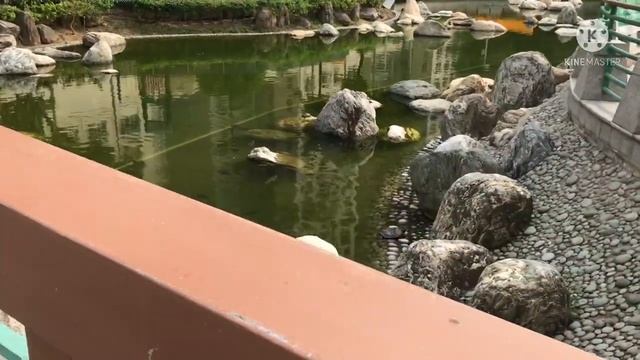 CHAI WAN PARK | Hong Kong