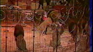 18 Фестиваль в Монте Карло. 18 Festival Du Cirque De MonteCarlo