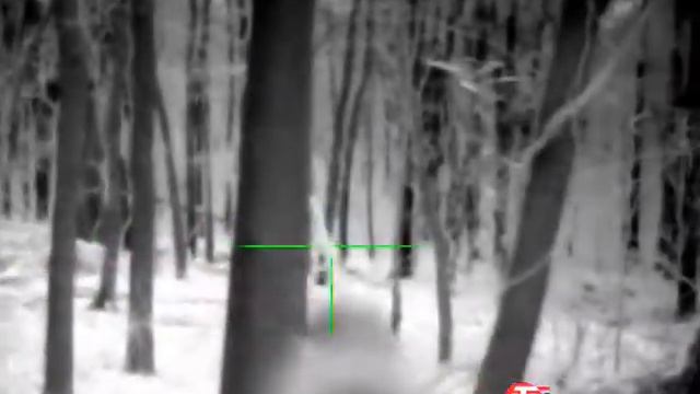 Air rifle / thermal combo смотреть онлайн