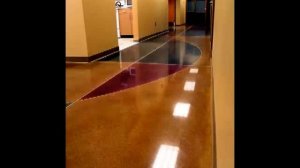 полированный бетонный пол