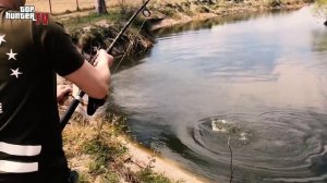 Человека утащил Крокодил!!! ОХОТА на Аллигатора. Спиннинг для крокодила.