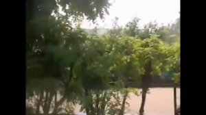 VLOG:ЛАГЕРЬ ХВОЙНЫЙ| 5 ИЮНЯ-22 ИЮНЯ|