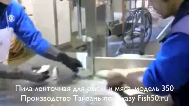 Пила ленточная модель 350 производство Fish50.ru