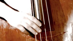 Татьяна Аверина - el manisero - Averi