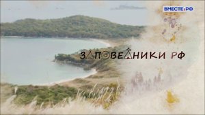 Тайны заповедника "Кедровая падь"