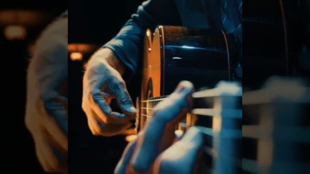 Tocando Violão na Floresta смотреть онлайн