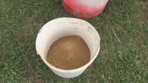 Как спасти посадки от крестоцветной блошки. Проверенные народные методы борьбы от вредителя капусты