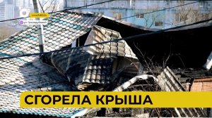 Автопатруль112 / Не уступил дорогу / Напал и ограбил / Мусорные вандалы / 30.01.24