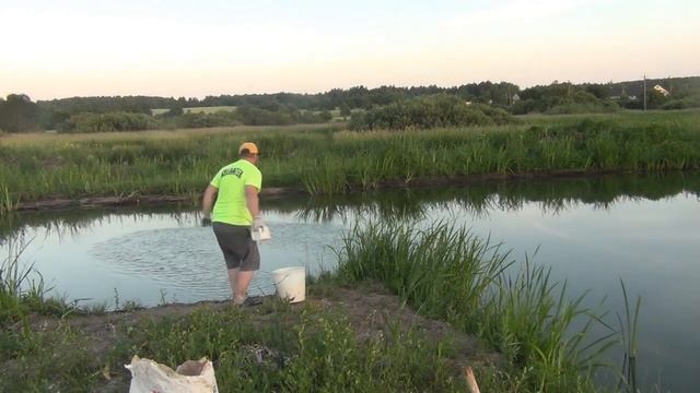 Цветет вода в пруде? Смотри проверенный способ! Гашеная известь как профилактика для дачного пруда смотреть онлайн