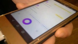 алиса мелафон