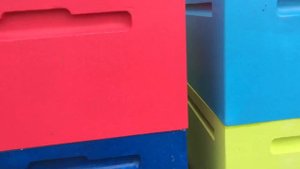 Развитие пчелосемей. ППС «Пеноулик»