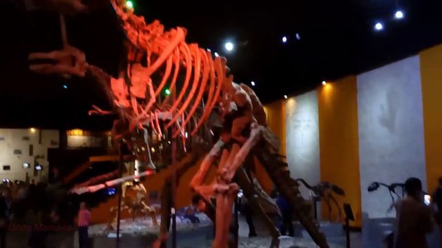 Пермский период. Музей пермских древностей смотреть онлайн