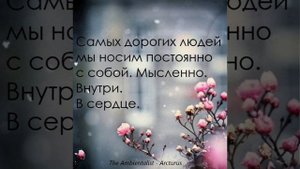 The Ambientalist GIF 1.03.2024